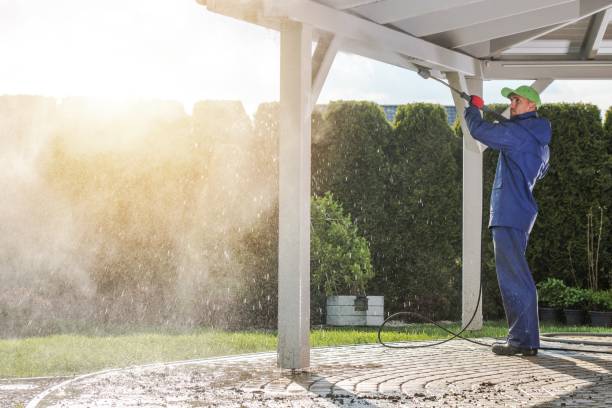 Pre-Holiday Cleaning in Howard City, MI